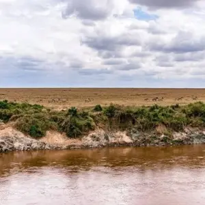 Explore 7 Days, 6 Nights Small Group Safari with Upgraded Accommodation to Masai Mara, Lake Nakuru, Lake Naivasha /Hell’s gate and Amboseli National Parks for 7 days with Perfect Safari Africa tours and safaris and discover unforgettable experiences - Photo 11