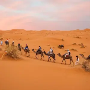 Explore Cultural 15 days  Morocco tours for 15 days with Perfectly Morocco Tours and discover unforgettable experiences - Photo 2