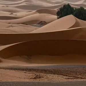 Explore 4 days desert  adventure for 4 days with Perfectly Morocco Tours and discover unforgettable experiences - Photo 2