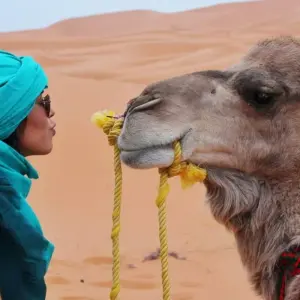 Explore 7 Days Tour From Casablanca for 7 days with Perfectly Morocco Tours and discover unforgettable experiences - Photo 2