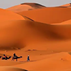 Explore Impressive 10 days Morocco Tours for 10 days with Perfectly Morocco Tours and discover unforgettable experiences - Photo 4