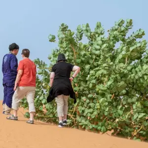 Explore 3 days  Desert excursion for 3 days with Perfectly Morocco Tours and discover unforgettable experiences - Photo 3