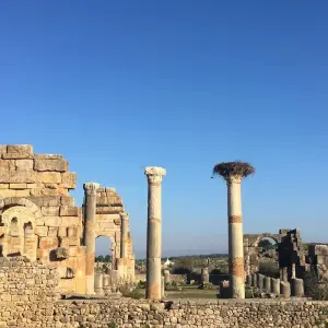 Explore Impressive 10 days Morocco Tours for 10 days with Perfectly Morocco Tours and discover unforgettable experiences - Photo 6