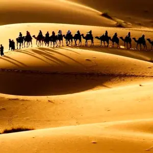 Explore Impressive 10 days Morocco Tours for 10 days with Perfectly Morocco Tours and discover unforgettable experiences - Photo 8