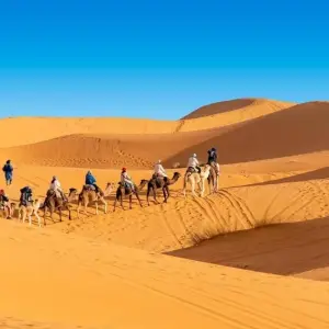 Explore 12 Days Tour From Marrakech for 12 days with Perfectly Morocco Tours and discover unforgettable experiences - Photo 4
