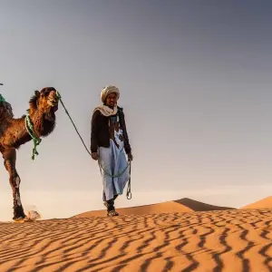 Explore Cultural 15 days  Morocco tours for 15 days with Perfectly Morocco Tours and discover unforgettable experiences - Photo 7