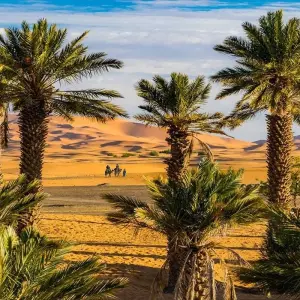 Explore 4 days desert  adventure for 4 days with Perfectly Morocco Tours and discover unforgettable experiences - Photo 8