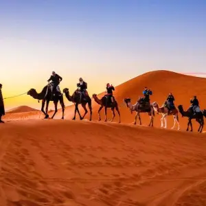 Explore Morocco 10 days tour from Tangier for 10 days with Perfectly Morocco Tours and discover unforgettable experiences - Photo 5