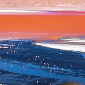 Explore Bolivia Highlights - 8 Days: La Paz, Tiwanaku, Sucre, Potosi, Uyuni Salt Flats & Colorful Lagoons for 8 days with Peru Trek 4 Good and discover unforgettable experiences - Photo 3