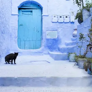 Explore Morocco private 8 days tour for 8 days with Perfectly Morocco Tours and discover unforgettable experiences - Photo 6