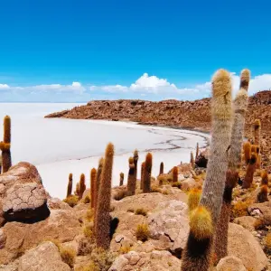 Explore 7-Day Express - Bolivia & Peru Highlights: Uyuni Salt Flats & Machu Picchu for 7 days with Peru Trek 4 Good and discover unforgettable experiences - Photo 6