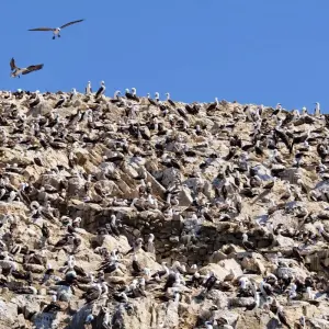 Explore The Best of Peru & Bolivia Budget: Lima, Paracas, Huacachina, Nazca Lines, Cusco, Sacred Valley, Machupicchu, Rainbow Mountain, Humantay Lake or ATV Tour: Moray & Salt Mines, Titicaca Lake, Copacabana, Sun Island, Uyuni Salt Flats & All Lagoons for 15 days with Peru Trek 4 Good and discover unforgettable experiences - Photo 9