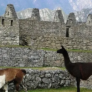 Explore THE BEST OF PERU & BOLIVIA: LIMA, CUSCO, THE SACRED VALLEY, MACHUPICCHU, LA PAZ, UYUNI FLATS & ALL LAGOONS for 12 days with Peru Trek 4 Good and discover unforgettable experiences - Photo 7