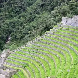 Explore INCA TRAIL TO MACHUPICCHU (1 DAY), LIMA & CUSCO for 7 days with Peru Trek 4 Good and discover unforgettable experiences - Photo 11