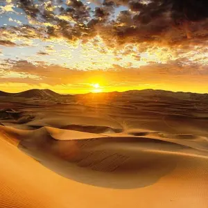 Explore BALLESTAS ISLANDS, ICA, HUACACHINA OASIS & NAZCA LINES: 2 DAYS for 2 days with Peru Trek 4 Good and discover unforgettable experiences - Photo 6