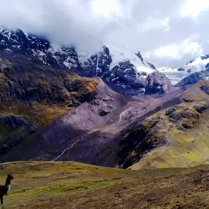 Explore RAINBOW MOUNTAIN (VINICUNCA) SHORTEST HIKE : 1 FULL DAY PRIVATE TOUR for 1 days with Peru Trek 4 Good and discover unforgettable experiences - Photo 9