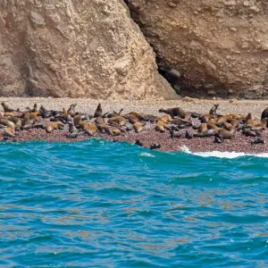 Explore 7-Day All-Inclusive Peru Adventure + Domestic Flights: Lima, Ballestas Islands, Huacachina, Cusco, Sacred Valley, Maras & Moray on ATVs or Rainbow Mountain or Humantay Lake & Machupicchu for 7 days with Peru Trek 4 Good and discover unforgettable experiences - Photo 9