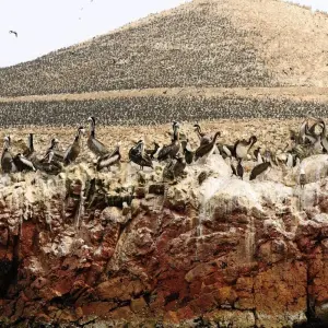 Explore 7-Day All-Inclusive Peru Adventure + Domestic Flights: Lima, Ballestas Islands, Huacachina, Cusco, Sacred Valley, Maras & Moray on ATVs or Rainbow Mountain or Humantay Lake & Machupicchu for 7 days with Peru Trek 4 Good and discover unforgettable experiences - Photo 10