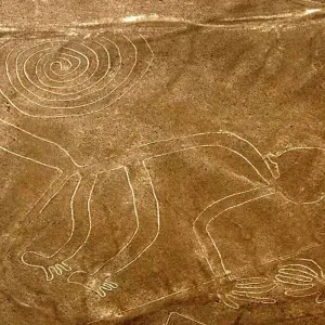 Explore BALLESTAS ISLANDS, ICA, HUACACHINA OASIS & NAZCA LINES: 2 DAYS for 2 days with Peru Trek 4 Good and discover unforgettable experiences - Photo 11