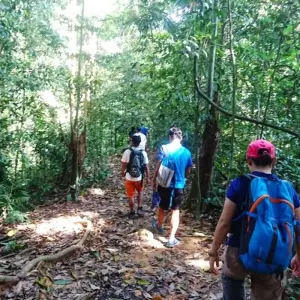 Explore 3D2N Orangutan in Tanjung Puting with Overnight on the Boat for 3 days with Pesona Indo and discover unforgettable experiences - Photo 2