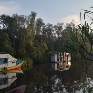 Explore 3D2N Orangutan in Tanjung Puting with Overnight on the Boat for 3 days with Pesona Indo and discover unforgettable experiences - Photo 4