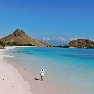 Explore Sailing Trip Komodo Island with Phinisi Boat for 3 days with Pesona Indo and discover unforgettable experiences - Photo 4