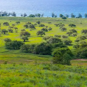 Explore 5D4N Sumba Island for 5 days with Pesona Indo and discover unforgettable experiences - Photo 3