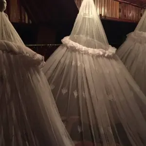 Explore 3D2N Orangutan in Tanjung Puting with Overnight on the Boat for 3 days with Pesona Indo and discover unforgettable experiences - Photo 5