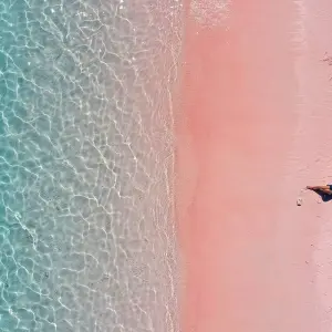 Explore 2Day Sailing Komodo Flores, Indonesia for 2 days with Pesona Indo and discover unforgettable experiences - Photo 5