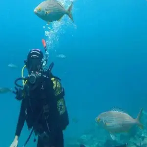 Explore Ramsis Egypt & the Red Sea for 12 days with Pharaohn Tours and discover unforgettable experiences - Photo 9