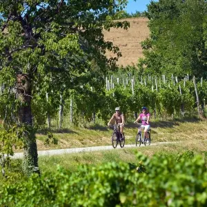 Explore Alpe Adria Trail on the bike, Self Guided for 6 days with Positive sport and discover unforgettable experiences - Photo 2