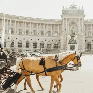 Explore 1 Week of Gourmet and history: Prague, Vienna and Budapest for 7 days with Prague Best Experience and discover unforgettable experiences - Photo 8