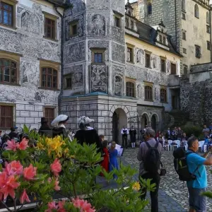 Explore Romantic Honeymoon 1 Week in Prague for 7 days with Prague Best Experience and discover unforgettable experiences - Photo 2