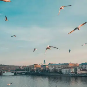 Explore Prague Weeekend Party - Stag or B Day celebration for 3 days with Prague Best Experience and discover unforgettable experiences - Photo 2