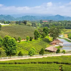 Explore Thailand Nature Escape 10 Days-Truly Local Experience - Bangkok/Chiang Mai/Chiang Rai for 10 days with PrestiGo Asia and discover unforgettable experiences - Photo 5