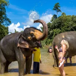 Explore Thailand Southern 10 Days - Phuket/Khao Sok/Khao Lak for 10 days with PrestiGo Asia and discover unforgettable experiences - Photo 7