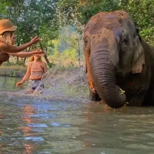 Explore Thailand Southern 10 Days - Phuket/Khao Sok/Khao Lak for 10 days with PrestiGo Asia and discover unforgettable experiences - Photo 8