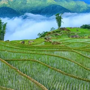 Explore Wonders of Vietnam and Thailand 13 Days - Halong Bay/Sapa/Bangkok/Koh Samui for 13 days with PrestiGo Asia and discover unforgettable experiences - Photo 4