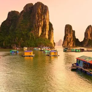 Explore Vietnam Jungle Escape in 15 Days - Cuc Phuong National Park/ Halong Bay / Mekong Delta for 15 days with PrestiGo Asia and discover unforgettable experiences - Photo 3