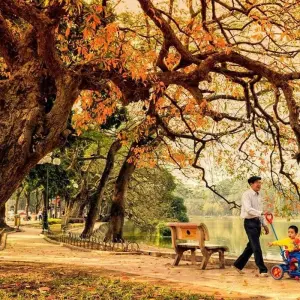 Explore Incredible Vietnam and Bali in 15 Days - Halong Bay / Hoi An / Mekong Delta / Bali for 15 days with PrestiGo Asia and discover unforgettable experiences - Photo 3