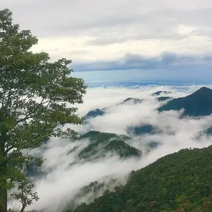 Explore Vietnam Jungle Escape in 15 Days - Cuc Phuong National Park/ Halong Bay / Mekong Delta for 15 days with PrestiGo Asia and discover unforgettable experiences - Photo 9