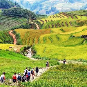 Explore Charming Vietnam 12 Days - Sapa / Halong Bay / Mekong Delta for 12 days with PrestiGo Asia and discover unforgettable experiences - Photo 10