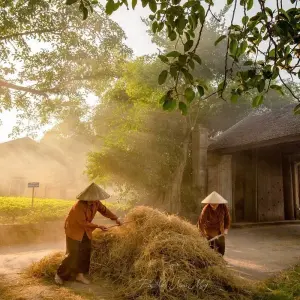 Explore Highlight of Southeast Asia in 10 Days - Halong Bay/ Siem Reap / Bangkok for 10 days with PrestiGo Asia and discover unforgettable experiences - Photo 9