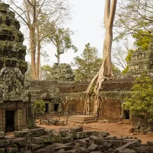 Explore Heritage of Vietnam and Cambodia 10 Days - Halong Bay/ Mekong Delta / Siem Reap for 10 days with PrestiGo Asia and discover unforgettable experiences - Photo 8