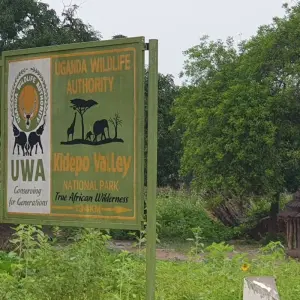 Explore Eastern Uganda Safari Trail for 12 days with Primate World Safaris (U) Ltd and discover unforgettable experiences - Photo 4