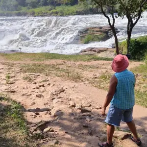 Explore 4 days Murchison Falls Luxury Wildlife Safari for 4 days with Primate World Safaris (U) Ltd and discover unforgettable experiences - Photo 4