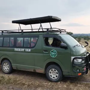 Explore 5 days Uganda Gorillas and Wildlife Safari for 5 days with Primate World Safaris (U) Ltd and discover unforgettable experiences - Photo 6