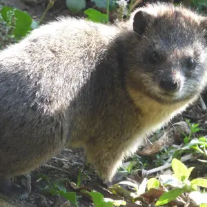 Explore All Inclusive Uganda Family Safari for 12 days with Primate World Safaris (U) Ltd and discover unforgettable experiences - Photo 8