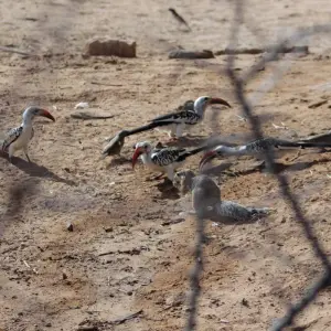 Explore 7 days Masai Mara Family Adventure for 7 days with Primate World Safaris (U) Ltd and discover unforgettable experiences - Photo 3