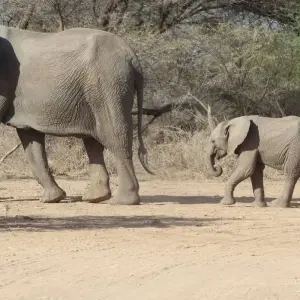 Explore 7 days Masai Mara Family Adventure for 7 days with Primate World Safaris (U) Ltd and discover unforgettable experiences - Photo 5